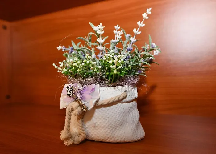 Miranda Casa de hóspedes